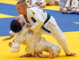 Champion Judo