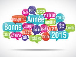 Bonne annГ©e 2015 Happy new year 2015