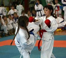 Girl Karate/TKD/... 1