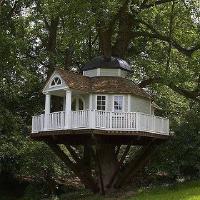 tree house's