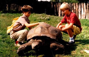 Potkal jsem ho v zoo /I met him at the Zoo/ (movie, 1994)