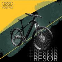 Tresor e-bike