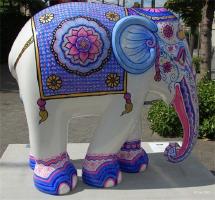 Elephant art show Hasselt