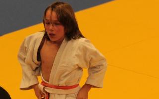 Individual Judo Fighters 2