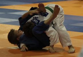 Judo Series 03 (100)