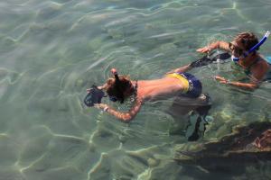 snorkeling in the Red Sea