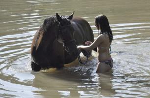 love horses